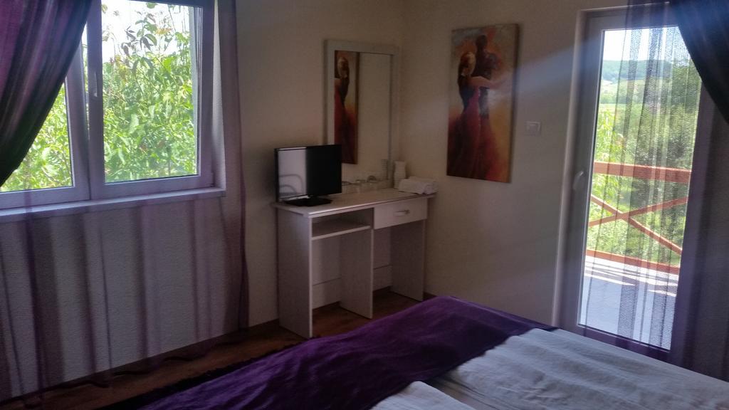Hotel Casa Agnes Vendeghaz Fantanele  Zimmer foto